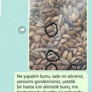 Kastamonuyoreselurunleri.com Güvelenmiş Eski Ürün