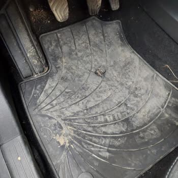 Renault Clio 5 Paspas Ön Silgeç Sorunu