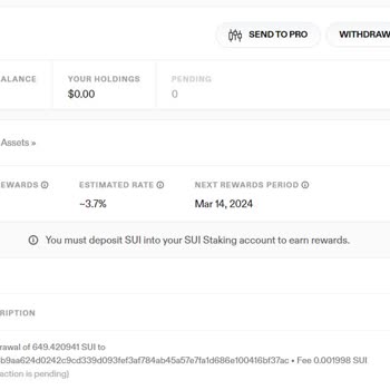 Coinlist.co Sui Token Transferi Tamamlanmadı