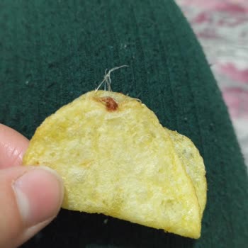 Lays Cipse Yapışık Kıl Veya İpe Benzer Bir Şey Çıktı Midem Bulandı