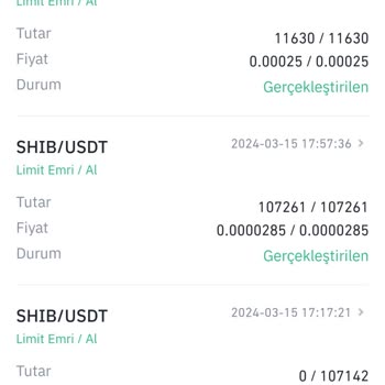 Binance Den Aldığım USDT Hesabımda Gözükmüyor