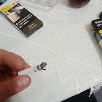 Parliament Odun Parçası Çıkıyor
