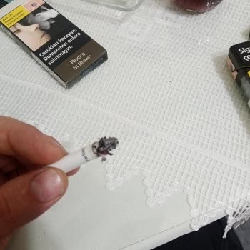 Parliament Odun Parçası Çıkıyor