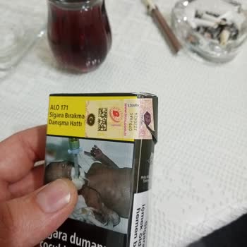 Parliament Odun Parçası Çıkıyor