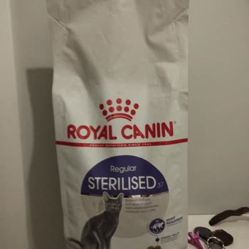 Pazarama Sahte Kedi Maması