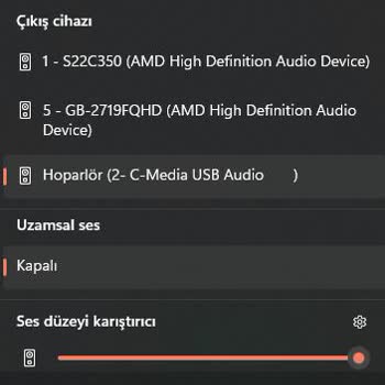 Gamepower Fujin Kulaklık Gözükmüyor
