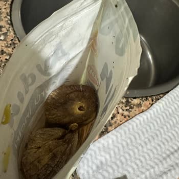 Migros'tan Alınan Kuru İncirde Kurt Sorunu