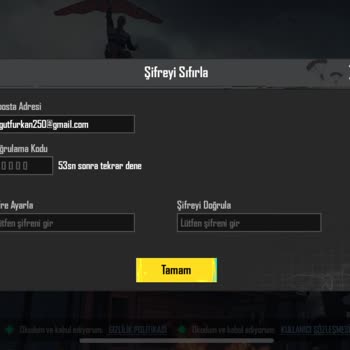 PUBG (Pubgmobile.com) E Postama Kod Gelmiyor