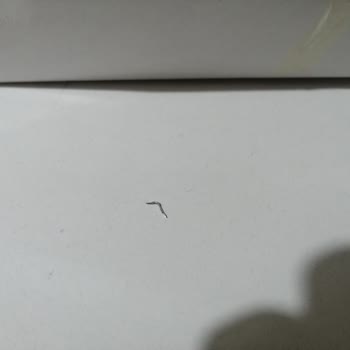 Tatbak Gıda Baklavanın İçinden Tel Çıktı