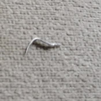 Tatbak Gıda Baklavanın İçinden Tel Çıktı