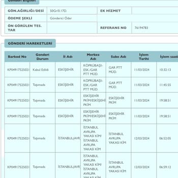 PTT Kargo Eyüp Şube Dağıtım Problemi