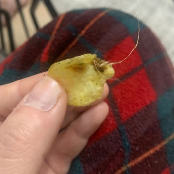 Lays Cipsin İçinden Çıkan Anlamsız Şey