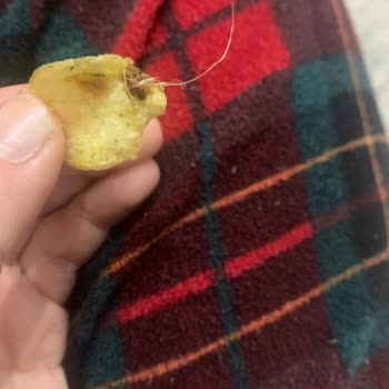 Lays Cipsin İçinden Çıkan Anlamsız Şey