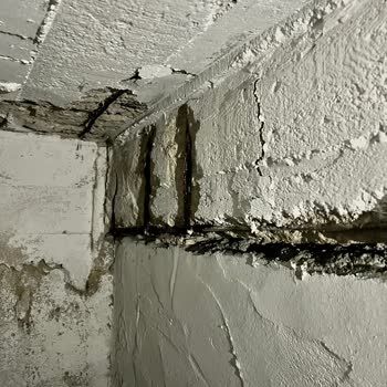 İBB - İstanbul Büyükşehir Belediyesi Deprem Riski Altındaki Binamız İçin Acil Dönüş Bekliyoruz