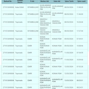 PTT Kargo Kargomu Bulunduğum İldeki Şube Yerine İstanbul'a Göndermiş
