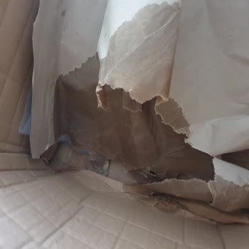 Amazonun Dökülen Ürüne Sorunsuz Demesi Hakkında!