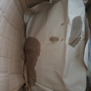 Amazonun Dökülen Ürüne Sorunsuz Demesi Hakkında!