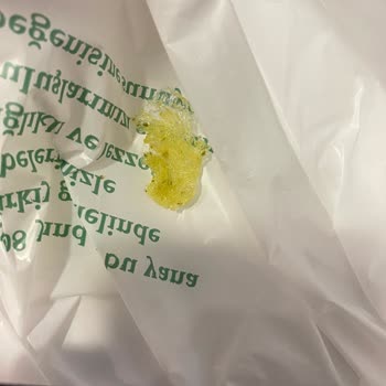 Green Salads Torkam AVM Rezil!