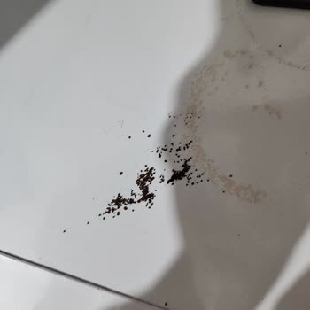 Siemens Kahve Makinesi Memnuniyetsizliğim