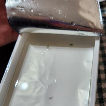 Pınar Et ve Süt Süzme Peynirde Küf Sorunu