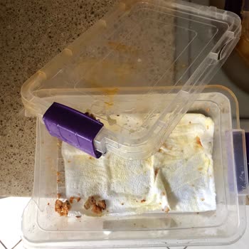 MNG Kargo Adana Saydam Şubesi Tam Bir Fiyasko