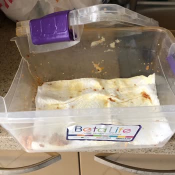 MNG Kargo Adana Saydam Şubesi Tam Bir Fiyasko