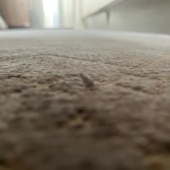 Decoser Halı Kalitesiz Halı Satışı Ve Müşteri Mağduriyeti