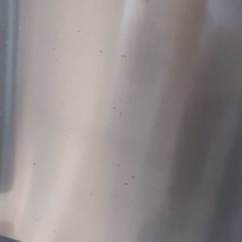 Siemens Ev Aletleri Paslanan İnox Ürünler Ve Servis Sorunu