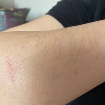 Kalite Kontrolü Yapılmamış Kelebek Mobilya