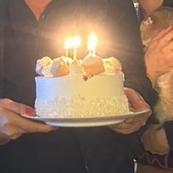 Carrefour SA&nbsp; Bozulmuş Pasta Satışı :)