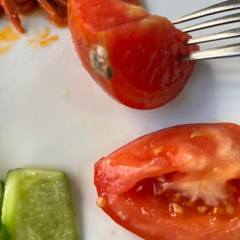 Derya Kız Öğrenci Yurdu Yemekten Cam Ve Örümcek Çıktı!