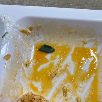 Derya Kız Öğrenci Yurdu Yemekten Cam Ve Örümcek Çıktı!