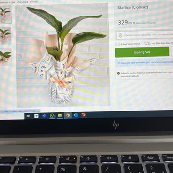 Çiçek Sepeti Yine Şaşırtmadı