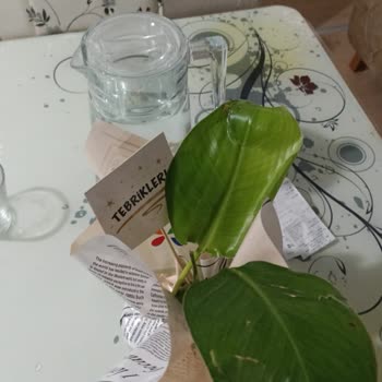 Çiçek Sepeti Yine Şaşırtmadı