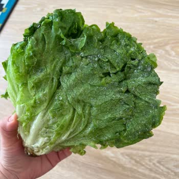 LG Marka Yanılgısı Ve Sürekli Arızalanan Buzdolabı