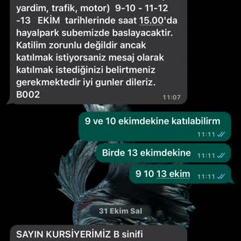 Park Sürücü Kursu Kapatılmalı Böyle Kurs Bizlere Hizmet Veriyor Olamaz