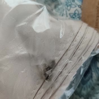Organic Scarfs Reklamların Ardındaki Gerçek: Beklentiler Ve Hayal Kırıklığı