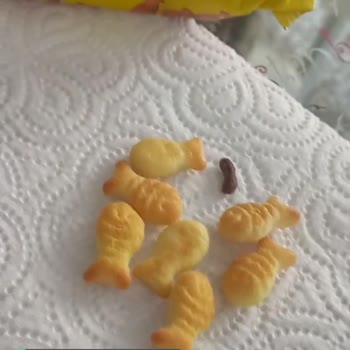 Eti Balık Krakerden Çıkan Yabancı Madde