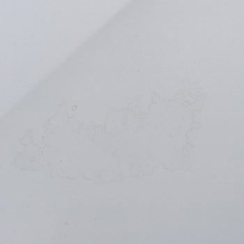 Garanti Sürecinde Skoda Octavia Vernik Sorunu Ve Mağduriyetim