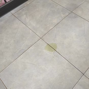 A101 Personellerin Müşteriye Saygısızca Hakaret Etme Sebepleri