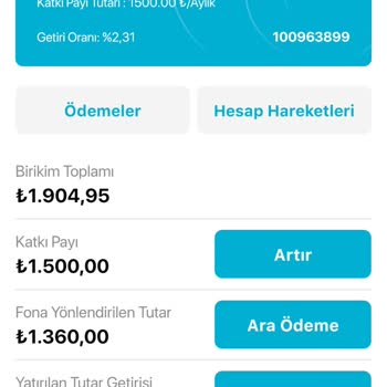 Türkiye Hayat Emeklilik Provizyonda Uzun Süre Tutulan Para