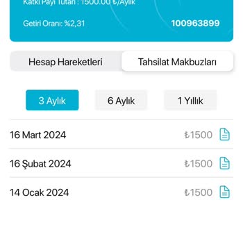 Türkiye Hayat Emeklilik Provizyonda Uzun Süre Tutulan Para