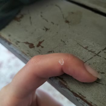 Milka Çikolata İçinde Cisim