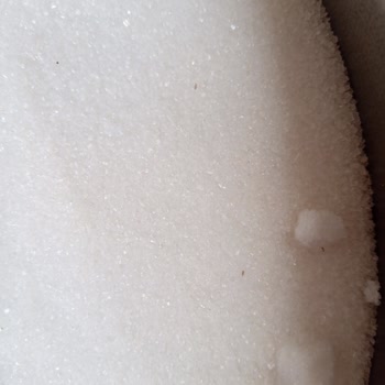 Irmak Şeker Toz Şeker Böceklenmesi