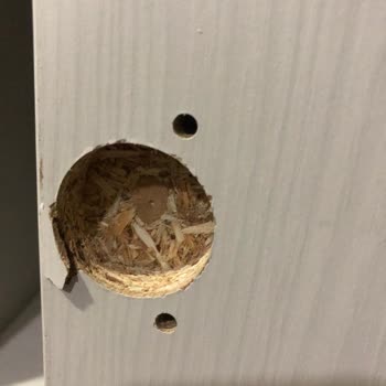 Enza Home Hasarlı Ürün Teslimatı