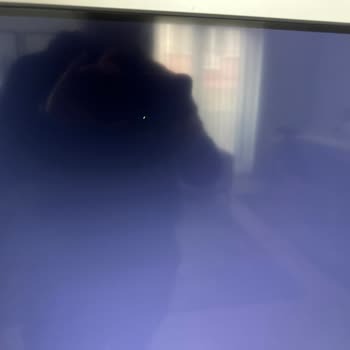 Samsung TV Bitmeyen Arızası (ölü Piksel)