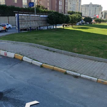 Ataşehir Belediyesi Başıboş Sokak Köpekleri