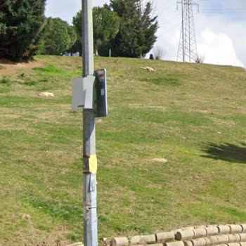 Ataşehir Belediyesi Başıboş Sokak Köpekleri