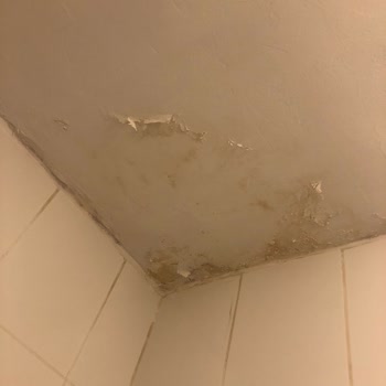 Ray Sigorta Eksper Yanlış Rapor Tutması