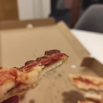 Pizza Hut Pizzasından Kıl Çıktı
